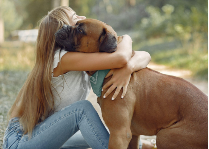 PROTEÇÃO E SEGURANÇA PARA OS ANIMAIS